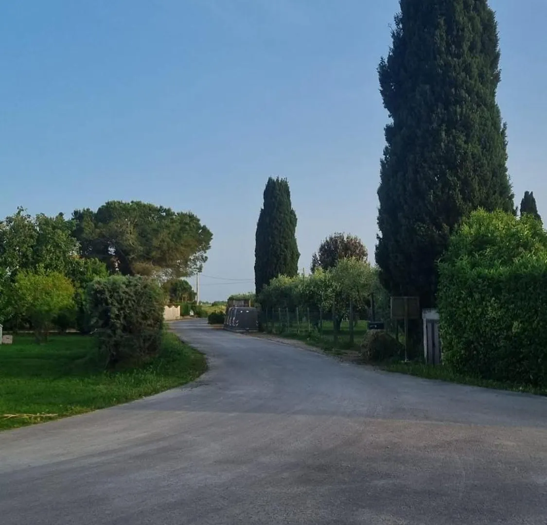 Casa Geranio 2 Lägenhet San Donato